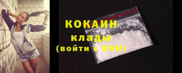 таблы Новозыбков