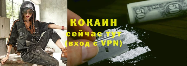 не бодяженный Новодвинск