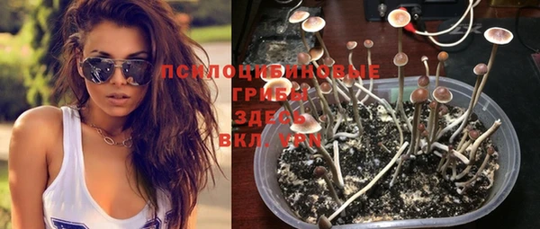 прущая мука Новокубанск