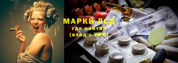 таблы Новозыбков